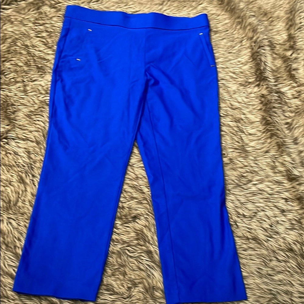 Jules & Leopold Blue Capris